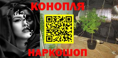 амфетамин Гатчина
