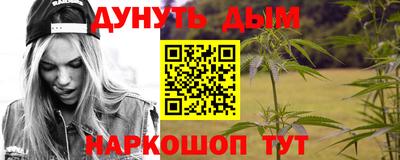 индика Гусь-Хрустальный